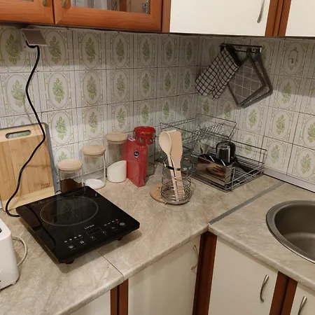 Apartment Popovic Svestica