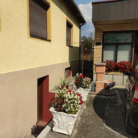 Apartment Popovic *